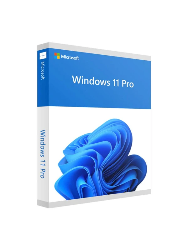 Microsoft WIN11 PRO license