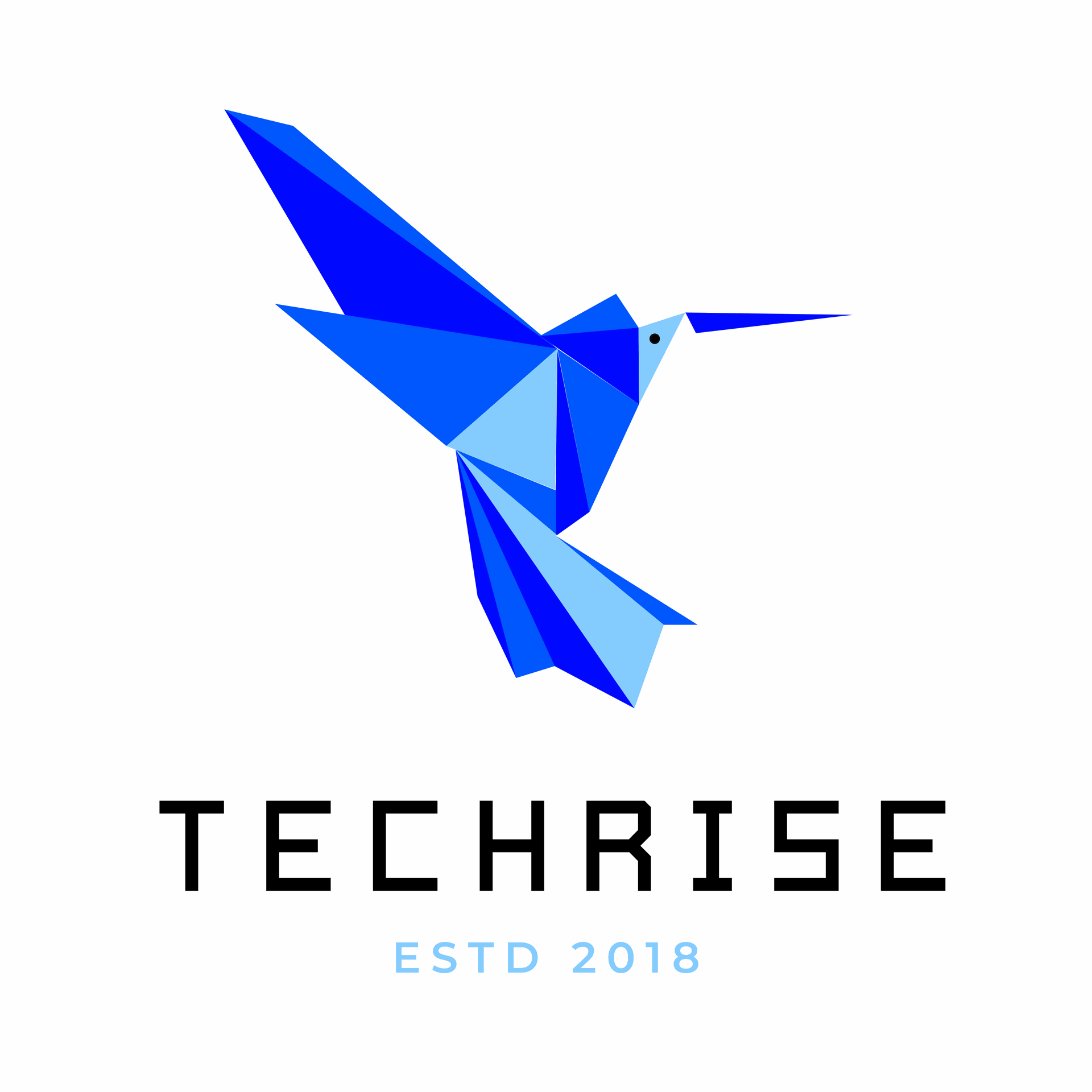 Techrise